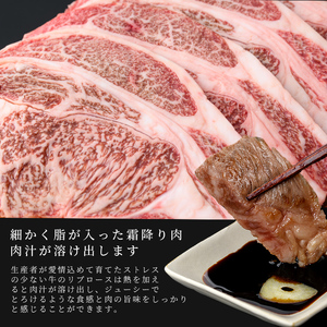 【訳あり】復刻！4等級以上 九州産和牛ロース大判焼肉(計1kg・3枚～4枚) a8-093