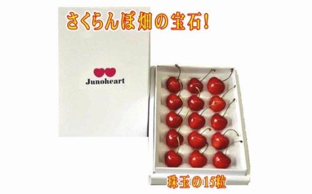 高級さくらんぼ【ジュノハート】先行予約 2026