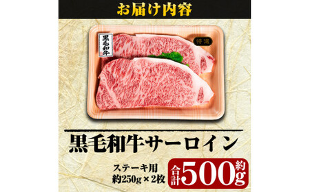 C-030 鹿児島県産黒毛和牛＜A5等級＞黒毛和牛サーロインステーキ約250ｇ×2枚【きりしま畜産】 肉 牛肉 サーロイン ステーキ