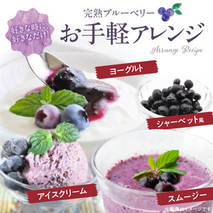 福岡県産 ブルーベリー生果 800g_ブルーベリー 生果 80g × 10パック 計 800g 直送 旬 完熟ブルーベリー アントシアニン 生の果物 使いやすい 腸内環境改善 個包装 冷凍保存 シャーベット アイス ヨーグルト アレンジ フルーツ デザート 果物 福岡県 久留米市 お取り寄せ 送料無料 〔Fx004〕