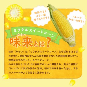 【2026年先行予約】北杜市産とうもろこし『味来（みらい）』朝採り直送13本セット [h019]