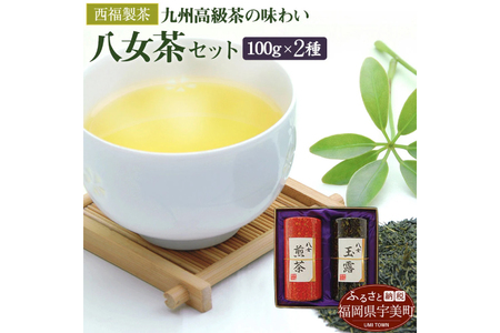 緑茶 飲み比べ 八女茶 八女玉露 2種 緑茶 [um40azo790001]