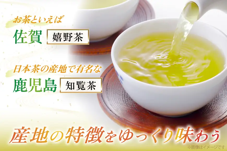 緑茶 飲み比べ 九州 一番摘み 銘茶 5種 各2本 [um40azo790004] お茶