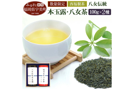 緑茶 飲み比べ 八女伝統 本玉露 八女煎茶 2種 [um40azo790005] お茶