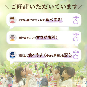 【先行予約 2026年収穫分】高松ぶどう デラウェア 約2kg入り（およそ9～10房） 1箱【配送不可地域：北海道・沖縄県・離島】｜ぶどう フルーツ 果物