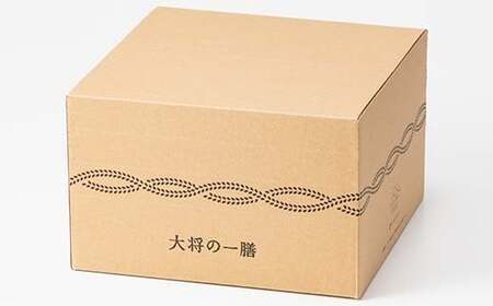 【山形の極み】山形県産米使用！ 大将の一膳 ブレンド米(つや姫50％・コシヒカリ50％) 20個 パックごはん F2Y-6848