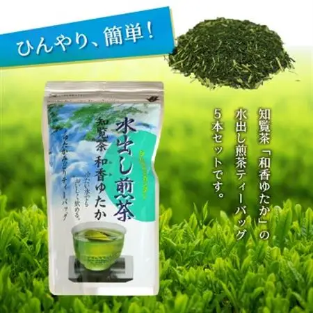 知覧茶水出し煎茶ティーバッグ5本セット【1185900】