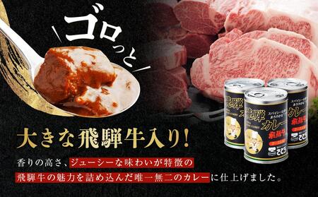 飛騨牛 入り カレー 3缶 キッチン飛騨 監修 さとうオリジナル ビーフカレー ファミリーストアさとう CY024