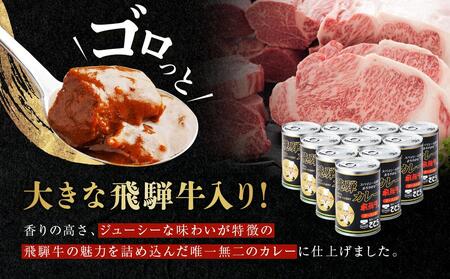 飛騨牛 入り カレー 10缶 キッチン飛騨 監修 さとうオリジナル ビーフ