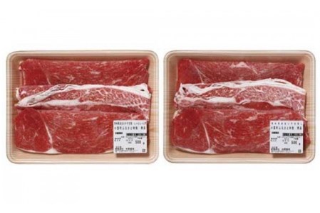 【矢野畜産】産地直送 詰め合わせBセット 切り落とし 500g すき焼き しゃぶしゃぶ 500g 計1kg くまもと 国産 熊本 阿蘇 和牛 あか牛 褐毛和種 あかげわしゅ 赤身 旨み凝縮 矢野畜産 にくやの 老舗 おうちごはん おうち時間 通販 贈答 ギフト 阿蘇の自然の宝物