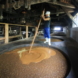 【老舗コトヨ醤油】720ml×3本 越後笹神たより 濃口 本醸造 万能 だし醤油 醤油 しょうゆ 瓶 杉桶 職人技 手作業 調味料 1C07012