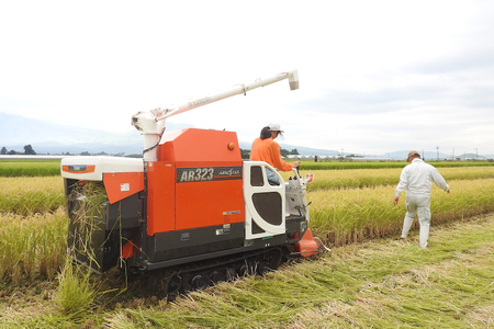 【JA阿蘇小国郷】令和7年産 阿蘇小国郷のお米「あきげしき」5kg 一等米限定 人気観光地でも提供 冷めても美味しい 高品質 おにぎり お弁当におすすめ 名水が育むお米 熊本県 阿蘇 小国町ふるさと納税