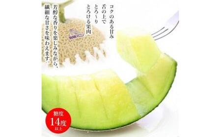 メロン 飛騨メロン 約1.5kg 化粧箱入 7月中旬～8月上旬発送 CY032-26-CP01 FN-Limited-PR