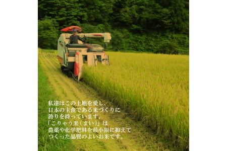安来のお米【定期便】こりゃう米（まい）玄米 5kg×3回（隔月） 令和7年産 コシヒカリ