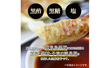 A-109 鹿児島黒豚餃子60個(30個×2)国産！鹿児島県産黒豚肉を100%使用した冷凍黒豚ぎょうざ【九面屋】国産 霧島市 ギョーザ 冷凍 惣菜 おかず おつまみ 黒豚 タレ付き