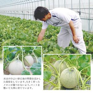SA2812　庄内砂丘プレミアムメロン(青肉・赤肉) 各1玉 1.7kg以上　計2玉