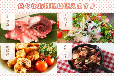 漁協直送！浦河前浜産 活ゆでたこ足（足800g）[02-525]