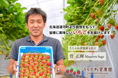 【今が旬！】北海道浦河産いちご「桃薫」270g×1P[13-279]