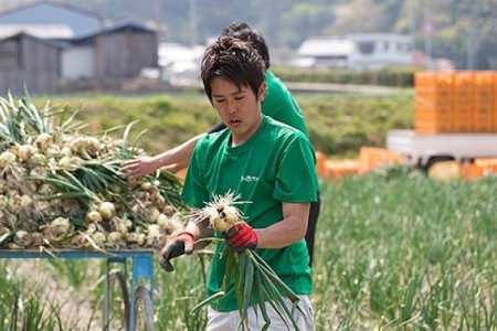 2026年度産　100％有機肥料で育てた淡路島玉ねぎ「蜜玉」１０kg