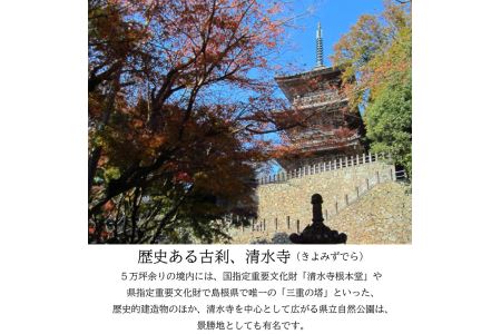 松琴舘 ご宿泊券 5,000円分【宿泊券 精進料理 安来清水寺 和食 チケット 旅館 旅行 旅 癒し 宿 リフレッシュ 自然 ご褒美 島根県 安来市】