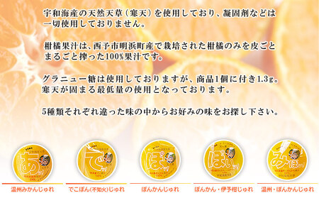 ＜愛媛の飲むみかんじゅれ 5種セット 計10個(5種類×各2個)＞ 飲むゼリー 果物 温州みかん 伊予柑 デザート スイーツ あけはまシーサイドサンパーク 贈答用 愛媛県西予市【常温】『最短10営業日以内に順次発送予定』AAS0004