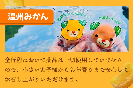 ＜冷凍みきゃんセット みきゃん盛り 温州みかん18個セット（皮付き 10個・皮無し8個）＞ ミカン 温州みかん 柑橘 果物 フルーツ デザート 詰め合わせ 特産品 渡江から一歩を踏み出す会 食べて応援 愛媛県 西予市【冷凍】『1か月以内に順次出荷予定』ATI0006