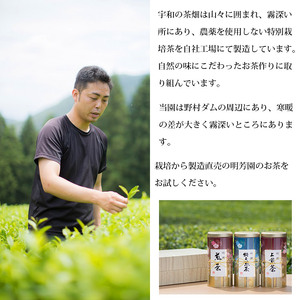 特上煎茶セット UME0002