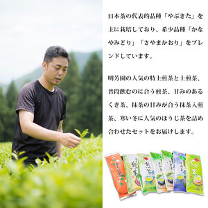明芳園 朝霧 宇和茶セット UME0003