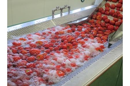 朝もぎ完熟トマトジュースあかずきんちゃん 1,000ml×3本【A-01】