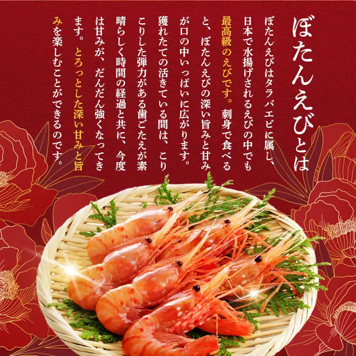 超速リキッド凍結でドリップゼロ！北海道羽幌産生鮮ぼたんえび 1kg（200g×5パック）【0311901】