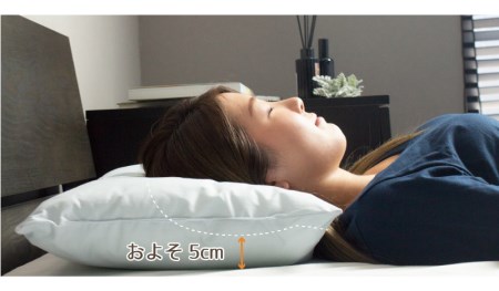 アース製薬と共同開発！防ダニ枕【Dani Not】ポリエステルわた　35×50㎝　～防ダニ率90％以上～(11-18)