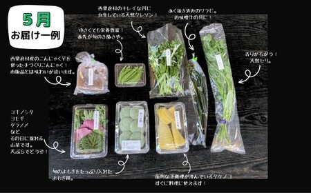 【半年定期】西粟倉村 旬の野菜おまかせセット｜6か月毎月お届け 【配送不可地域：北海道・沖縄・離島】 F-FF-C02A