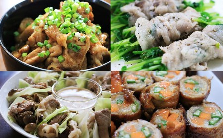 しゃぶしゃぶ 本部町産あぐ～しゃぶしゃぶ Bセット（1.4kg）