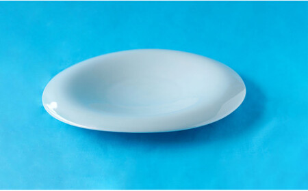 有田焼 青白磁渕下りパスタ皿 有田焼 プレート【神田陶器店】 青白磁 可愛い プレート 和食 プレゼント シンプル A24-212