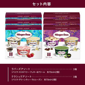 ハーゲンダッツ『アソートボックス6箱』 アイス アイスクリーム スイーツ 北海道_H0016-124