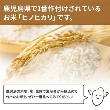 【無洗米】鹿児島県産ヒノヒカリ5kg【1185909】