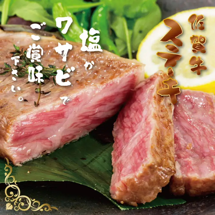 【定期便】 (年6回/奇数月お届け) 佐賀牛 牛肉 定期便 Q108-002