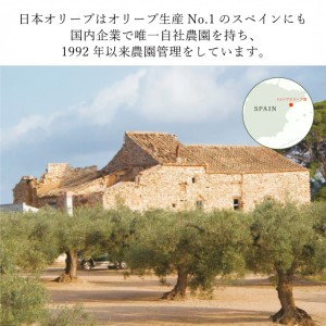 オリーブオイル 赤屋根ガーリックオリーブオイル 450g 3本 セット