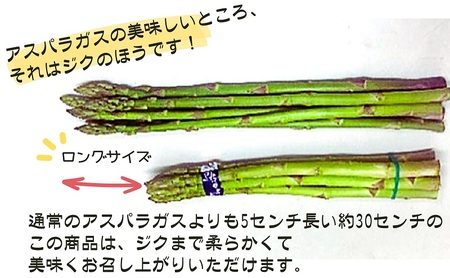 香川県オリジナルアスパラガス「さぬきのめざめロング」(夏芽) 約1kg 野菜 野菜セット 