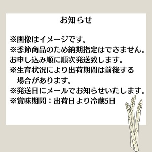 ホワイトアスパラガス  約1kg 野菜 