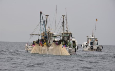 旨味がハンパない伊吹島「釜揚げいりこしょうゆ焼」 魚貝類 干物 カタクチイワシ 