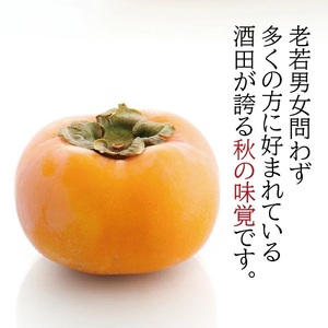 SA2955　酒田の秋の味覚　あまくて美味しい庄内柿(種なし柿) 秀品　約5kg(27～36玉前後)