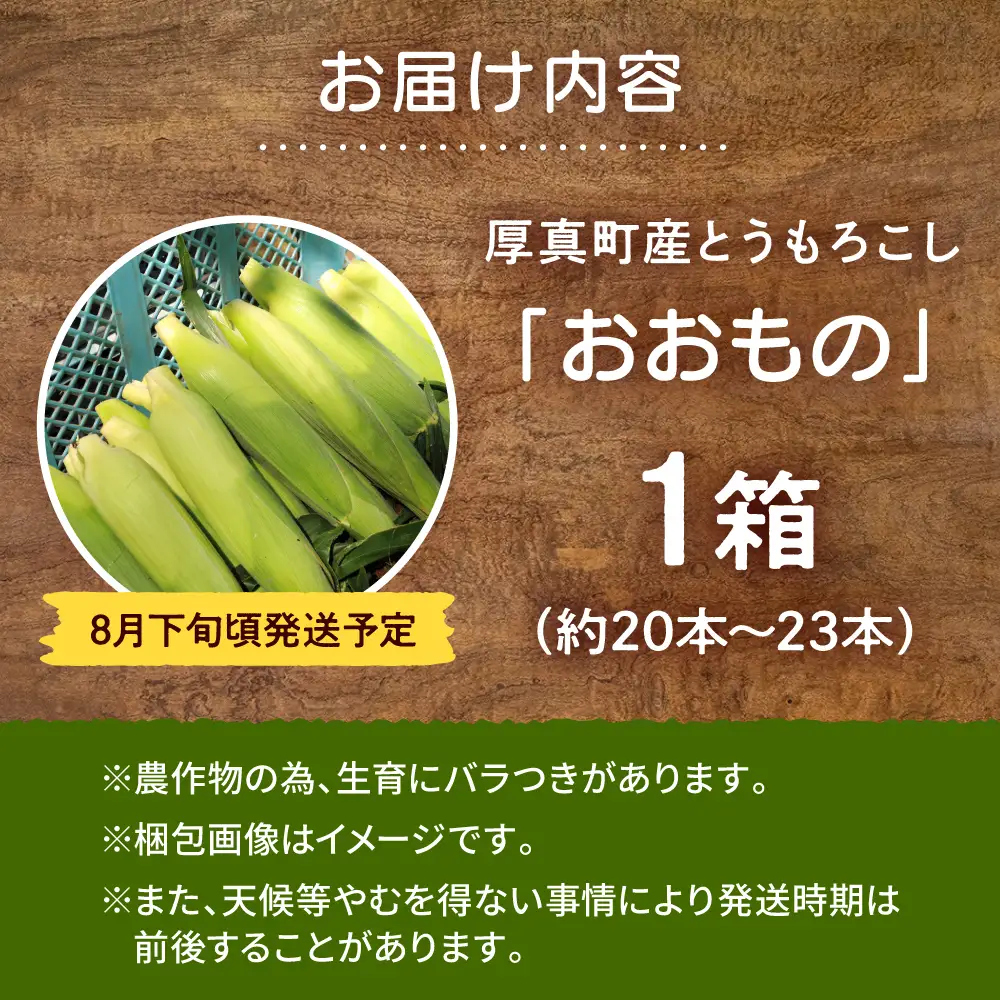【2026年8月下旬発送予定】とうもろこし おおもの とうきび 先行予約 とうもろこし [AXAE001]