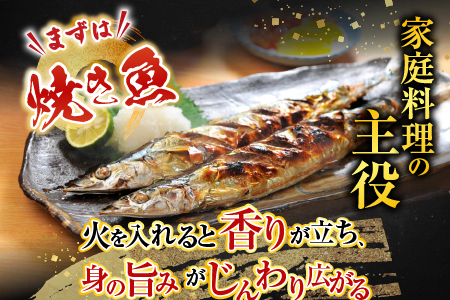 冷凍生さんま5尾×5P、ほたて貝柱200g×2Pセット C-36038