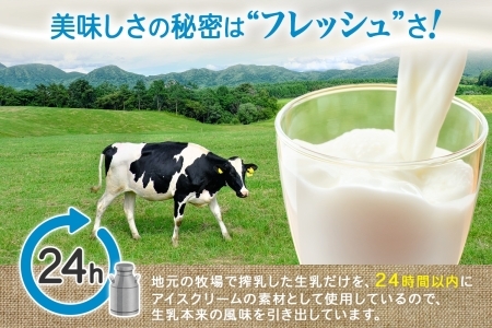 1333.アイスクリーム ジェラート 食べ比べ 8個 アイス A セット 手作り 北海道 弟子屈町