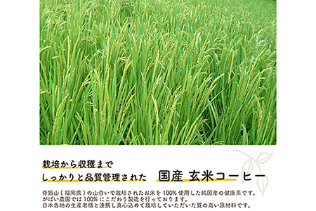 国産 玄米コーヒー（3個セット）：B180-009