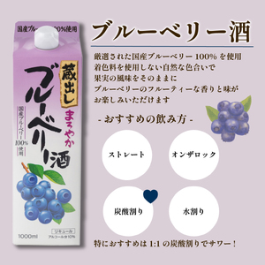 果実 リキュール 4本セット 酒 （梅・ゆず・ブルーベリー・あんず） 果実酒 リキュール 酒 東亜酒造