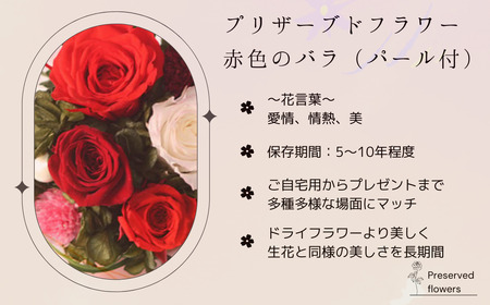 プリザーブドフラワー アレンジメント 赤色のバラ(パール付)＜老舗の花屋さんの手づくり/ギフト用＞_老舗の花屋さん 手づくり ギフト用 贈呈 記念日 結婚 誕生日 お祝い プリザーブ ド フラワーアレンジメント フローリストやまくら 北海道 釧路町 釧路超 特産品 _【1114901】