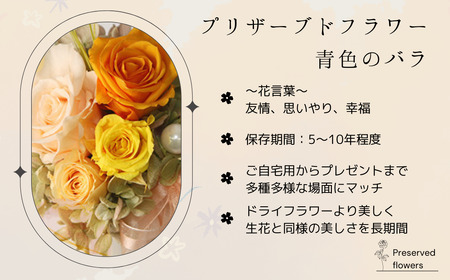 プリザーブドフラワー アレンジメント 黄色のバラ＜老舗の花屋さんの手づくり/ギフト用＞_老舗の花屋さん 手づくり ギフト用 贈呈 記念日 結婚 誕生日 お祝い プリザーブ ド フラワーアレンジメント フローリストやまくら 北海道 釧路町 釧路超 特産品 _【1114902】