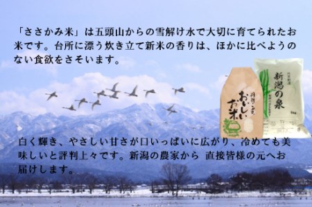【令和7年産】【10ヶ月定期便】 コシヒカリ 「新潟の泉」 5kg×10回 合計50kg 旧笹神村産 上泉 農家直送 コメドック 金賞 こめ、コメ 1Q17135